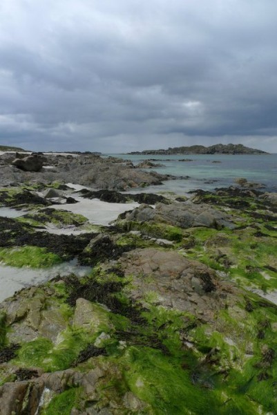 Iona beach